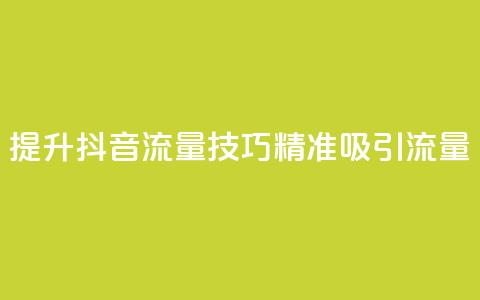 提升抖音流量技巧,精准吸引流量 第1张 提升抖音流量技巧,精准吸引流量 第1张