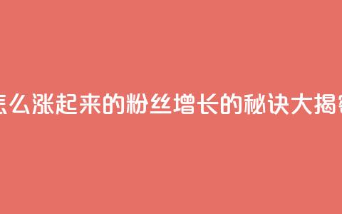 粉丝是怎么涨起来的(粉丝增长的秘诀大揭密) 第1张 粉丝是怎么涨起来的(粉丝增长的秘诀大揭密) 第1张