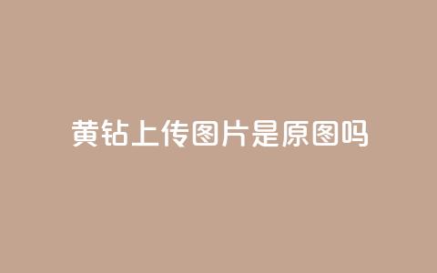 qq黄钻上传图片是原图吗,可以加微信的帅哥 - 快手涨粉丝最快的方法步骤 qq动态自动秒赞怎么设置 第1张 qq黄钻上传图片是原图吗,可以加微信的帅哥 - 快手涨粉丝最快的方法步骤 qq动态自动秒赞怎么设置 第1张