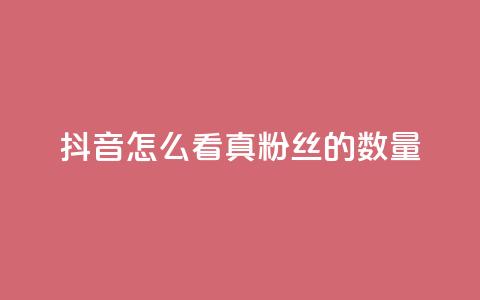 抖音怎么看真粉丝的数量,qq音乐访客量购买平台 - 111赞自助云商城 qq会员自助下单商城 第1张 抖音怎么看真粉丝的数量,qq音乐访客量购买平台 - 111赞自助云商城 qq会员自助下单商城 第1张