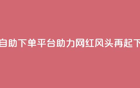 热门自助下单平台助力网红风头再起 第1张 热门自助下单平台助力网红风头再起 第1张