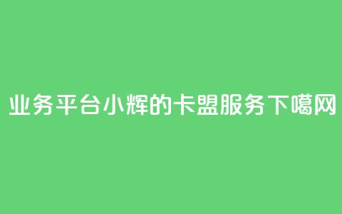 qq业务平台小辉的卡盟服务 第1张 qq业务平台小辉的卡盟服务 第1张