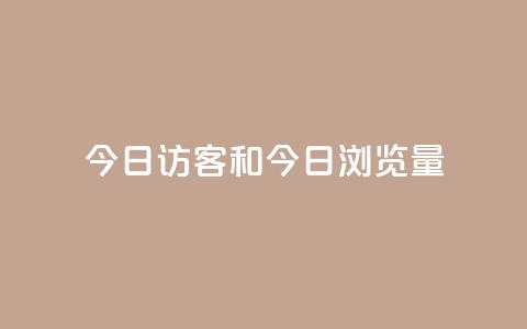 今日访客和今日浏览量 - 今日访问人数与页面浏览统计分析~ 第1张 今日访客和今日浏览量 - 今日访问人数与页面浏览统计分析~ 第1张