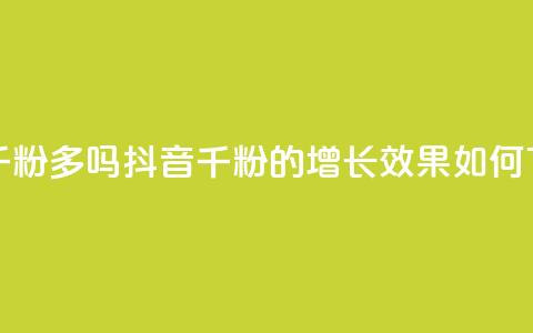 抖音千粉多吗(抖音千粉的增长效果如何?) 第1张 抖音千粉多吗(抖音千粉的增长效果如何?) 第1张