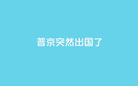 普京突然出国了 第1张 普京突然出国了 第1张