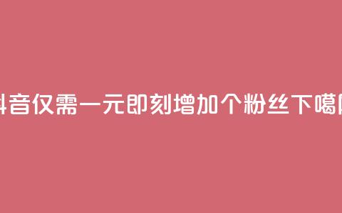 抖音仅需一元,即刻增加1个粉丝 第1张 抖音仅需一元,即刻增加1个粉丝 第1张
