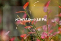 小红书阅读量1000以上算多么
