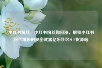 小红书粉丝，小红书粉丝如何涨，解锁小红书粉丝增长的秘密武器亿乐社区SUP货源站