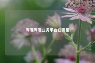 哔哩哔哩业务平台在哪里