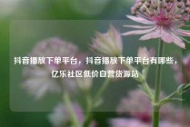 抖音播放下单平台，抖音播放下单平台有哪些，亿乐社区低价自营货源站