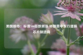 美国股市：标普500指数微涨 特朗普中东行提振芯片制造商