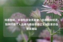 抖音粉丝，抖音粉丝业务套餐，抖音粉丝经济，如何打造个人品牌与商业价值亿乐社区低价自营货源站