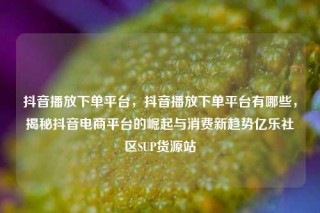 抖音播放下单平台，抖音播放下单平台有哪些，揭秘抖音电商平台的崛起与消费新趋势亿乐社区SUP货源站