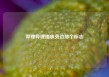 哔哩哔哩播放旁边那个标志