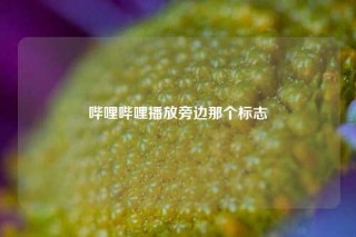 哔哩哔哩播放旁边那个标志