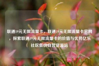 联通19元无限流量卡，联通19元无限流量卡官网，探索联通19元无限流量卡的价值与优势亿乐社区低价自营货源站