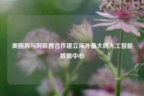 美国将与阿联酋合作建立海外最大的人工智能数据中心