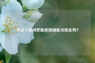 评论丨如何把握美国通胀当前走势？