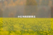 小红书阅读数算法