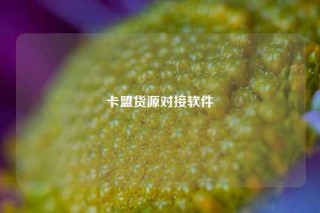 卡盟货源对接软件