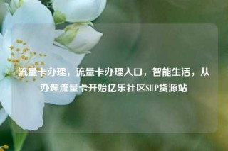 流量卡办理，流量卡办理入口，智能生活，从办理流量卡开始亿乐社区SUP货源站