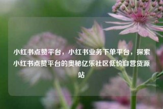 小红书点赞平台，小红书业务下单平台，探索小红书点赞平台的奥秘亿乐社区低价自营货源站