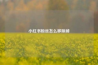 小红书粉丝怎么移除掉