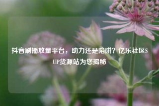 抖音刷播放量平台，助力还是陷阱？亿乐社区SUP货源站为您揭秘