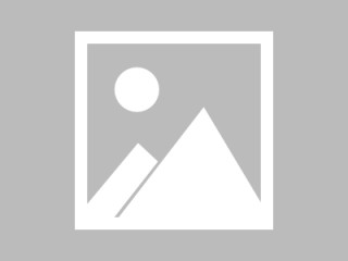 券商喜迎 “开门红”：一季度经纪业务普涨、自营差距拉大，东方证券营收挤进前十