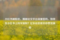 小红书刷粉丝，揭秘社交平台流量密码，如何在小红书上科学涨粉？亿乐社区低价自营货源站