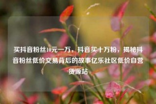 买抖音粉丝10元一万，抖音买十万粉，揭秘抖音粉丝低价交易背后的故事亿乐社区低价自营货源站