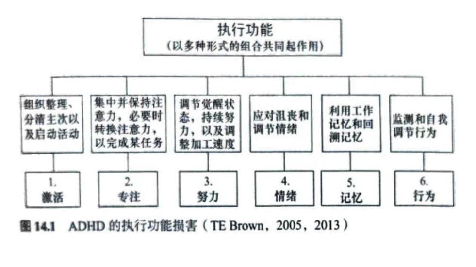 成人ADHD：我加入了游戏，却不适应游戏规则  第5张