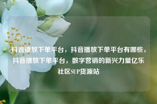 抖音播放下单平台，抖音播放下单平台有哪些，抖音播放下单平台，数字营销的新兴力量亿乐社区SUP货源站  第1张