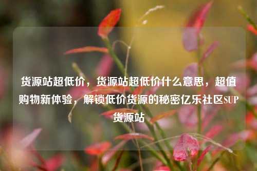 货源站超低价	，货源站超低价什么意思，超值购物新体验，解锁低价货源的秘密亿乐社区SUP货源站  第1张