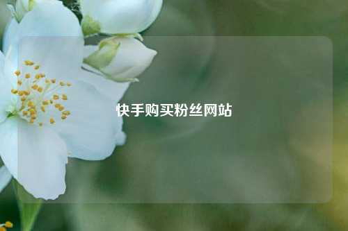 快手购买粉丝网站  第1张