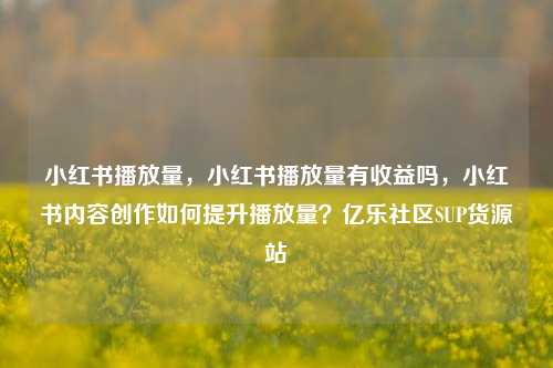 小红书播放量	，小红书播放量有收益吗，小红书内容创作如何提升播放量？亿乐社区SUP货源站  第1张