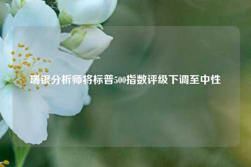 瑞银分析师将标普500指数评级下调至中性  第1张