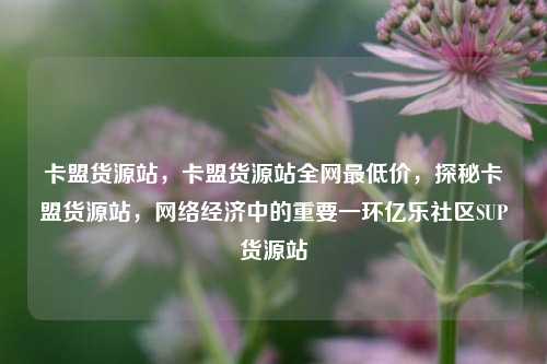 卡盟货源站，卡盟货源站全网最低价，探秘卡盟货源站	，网络经济中的重要一环亿乐社区SUP货源站  第1张