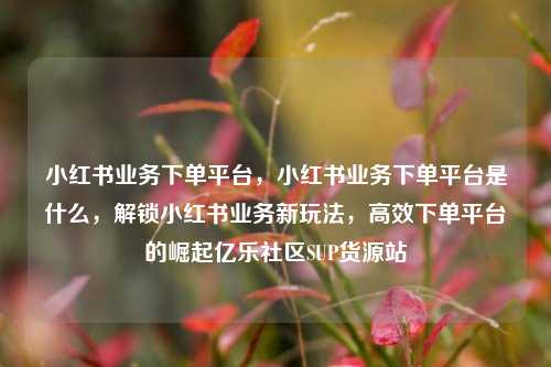 小红书业务下单平台，小红书业务下单平台是什么，解锁小红书业务新玩法	，高效下单平台的崛起亿乐社区SUP货源站  第1张