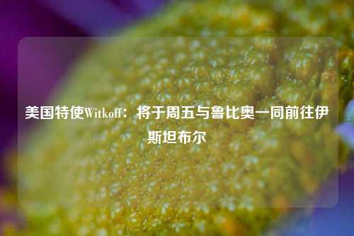 美国特使Witkoff：将于周五与鲁比奥一同前往伊斯坦布尔  第1张