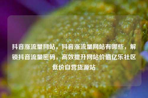 抖音涨流量网站	，抖音涨流量网站有哪些，解锁抖音流量密码，高效提升网站价值亿乐社区低价自营货源站  第1张