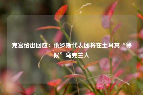 克宫给出回应：俄罗斯代表团将在土耳其“等候”乌克兰人  第1张