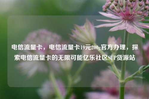 电信流量卡	，电信流量卡19元200g官方办理，探索电信流量卡的无限可能亿乐社区SUP货源站  第1张