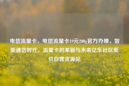 电信流量卡，电信流量卡19元200g官方办理，智能通信时代	，流量卡的革新与未来亿乐社区低价自营货源站  第1张
