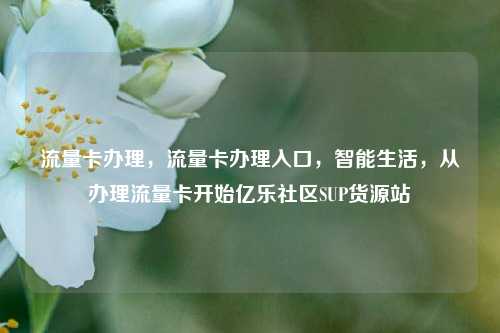流量卡办理	，流量卡办理入口，智能生活，从办理流量卡开始亿乐社区SUP货源站  第1张