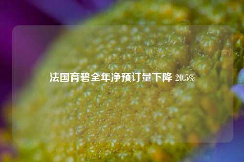 法国育碧全年净预订量下降 20.5%  第1张