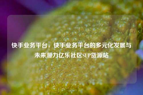 快手业务平台，快手业务平台的多元化发展与未来潜力亿乐社区SUP货源站  第1张