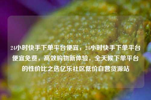 24小时快手下单平台便宜，24小时快手下单平台便宜免费	，高效购物新体验，全天候下单平台的性价比之选亿乐社区低价自营货源站  第1张