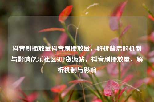 抖音刷播放量抖音刷播放量，解析背后的机制与影响亿乐社区SUP货源站	，抖音刷播放量，解析机制与影响  第1张