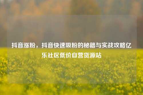 抖音涨粉	，抖音快速吸粉的秘籍与实战攻略亿乐社区低价自营货源站  第1张